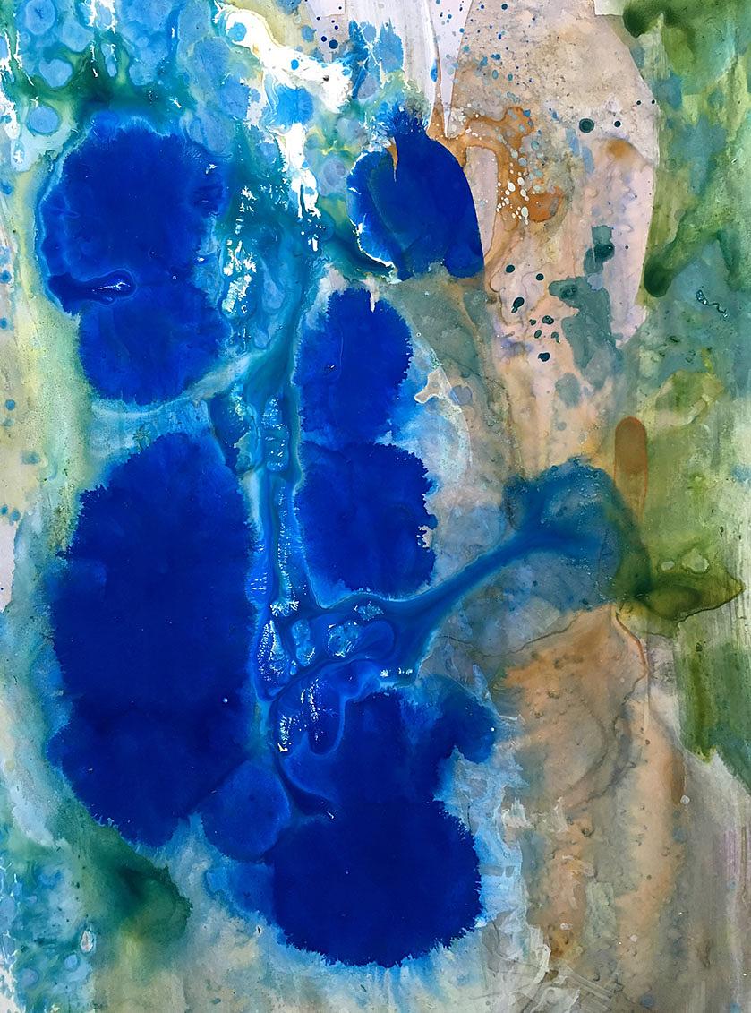 Earthview (Bloom)