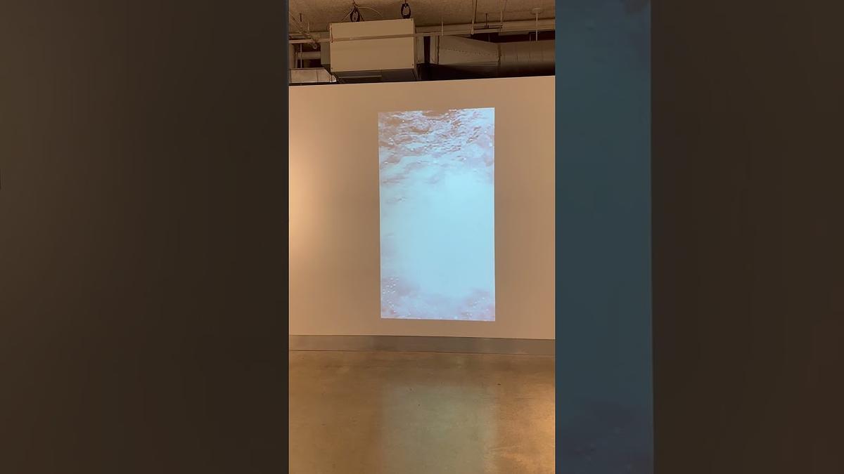 Video of Re(de)fining Landscape Installation 